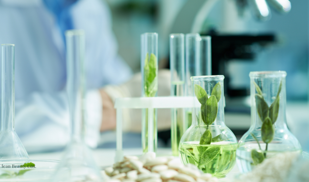 Minimalist laboratory beakers with submerged botanical leaves, representing the beauty industry's shift toward biotech innovation and UN SDG compliance.