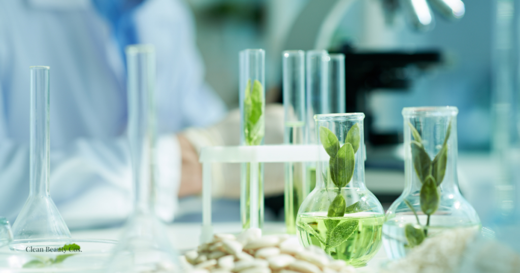 Minimalist laboratory beakers with submerged botanical leaves, representing the beauty industry's shift toward biotech innovation and UN SDG compliance.