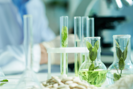 Minimalist laboratory beakers with submerged botanical leaves, representing the beauty industry's shift toward biotech innovation and UN SDG compliance.